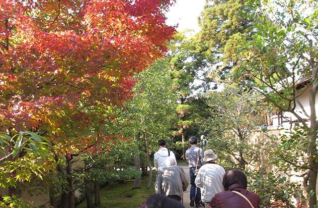 紅葉する庭の散策風景