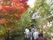 紅葉と共に歩む中庭