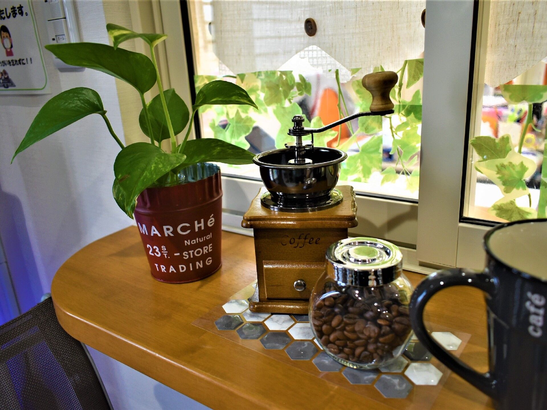 窓際のコーヒー器具と観葉植物