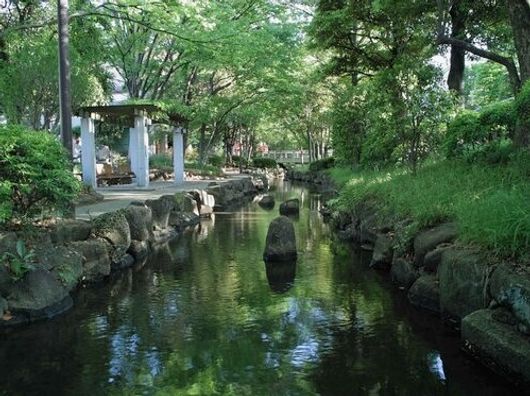 小松川境川親水公園