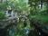 中央に小川が流れている緑の多い公園。木々が生い茂り、適度に日影ができている。小川の近くには屋根があるスペースがあり、ベンチが置かれている。