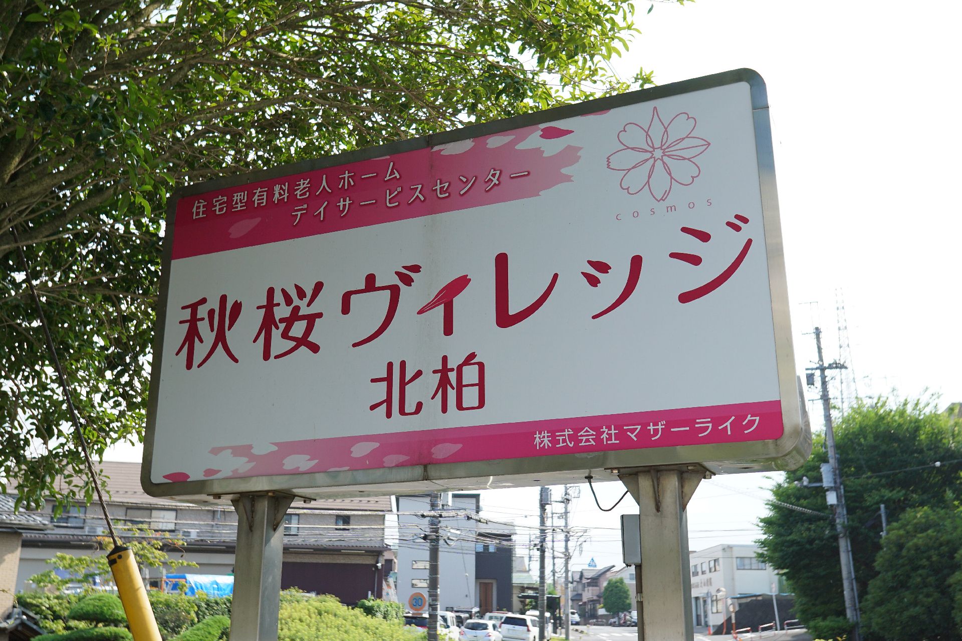 薬を飲む高齢女性と介助をする女性スタッフ
