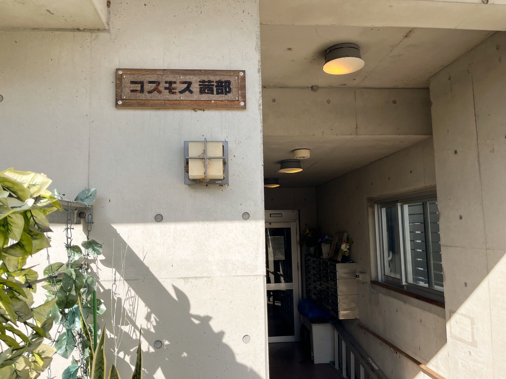 コンクリート張りの出入り口