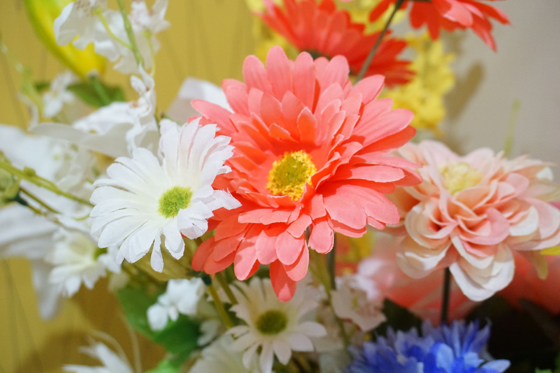 共有スペースに飾られている、白やピンクの色とりどりの花々