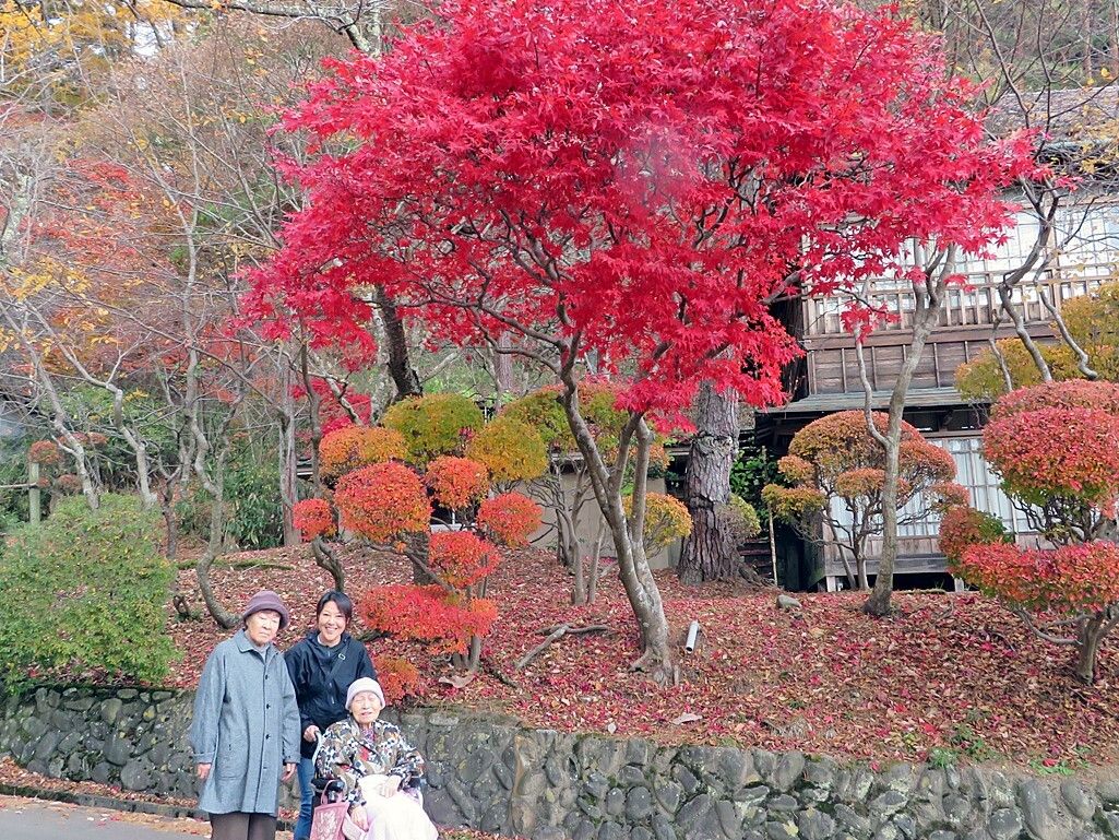 紅葉見学先で記念撮影をしている高齢女性たちと付き添いのスタッフ。車いすの女性もいて、楽しそうな表情。