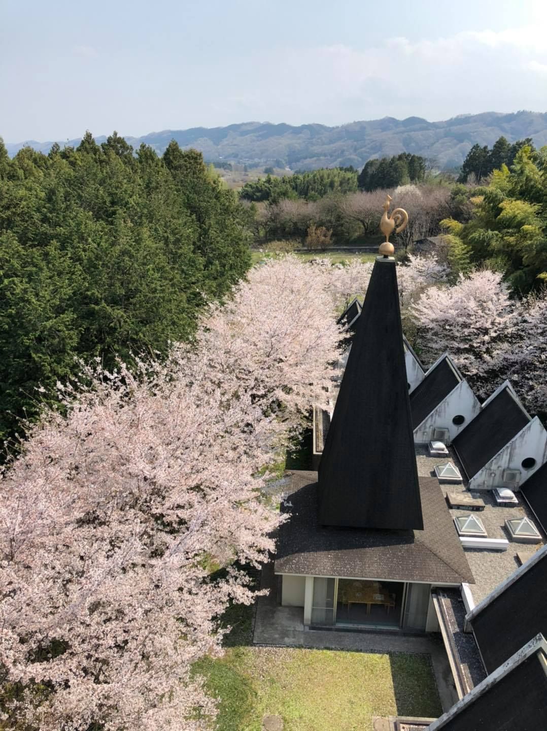柔らかな表情で付き添う人とほほ笑む高齢者。外に出て自然を眺めている様子がうかがえる。自然な笑顔を印象的。