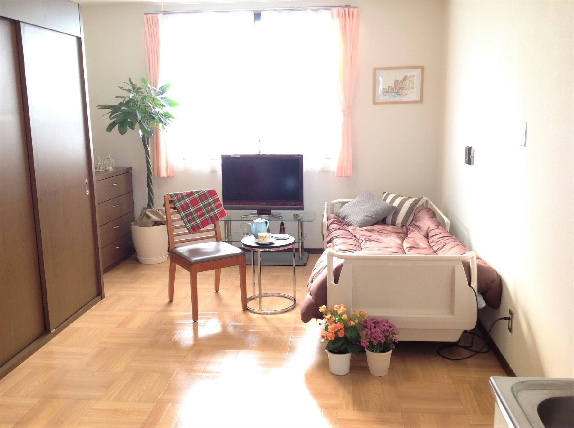 大きめの収納や観葉植物、ベッドやテレビが置いてある施設居室内のコーディネート例