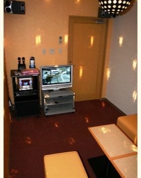 施設のカラオケルームの天井にはミラーボールが設置されており、壁に光が映し出されている。扉横にはテレビモニターがある。