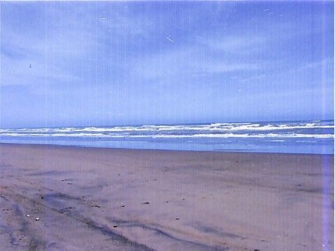 ゴミ一つ落ちていない砂浜が広がっていて、海の波が見える。砂浜にも海にも人の姿はない。