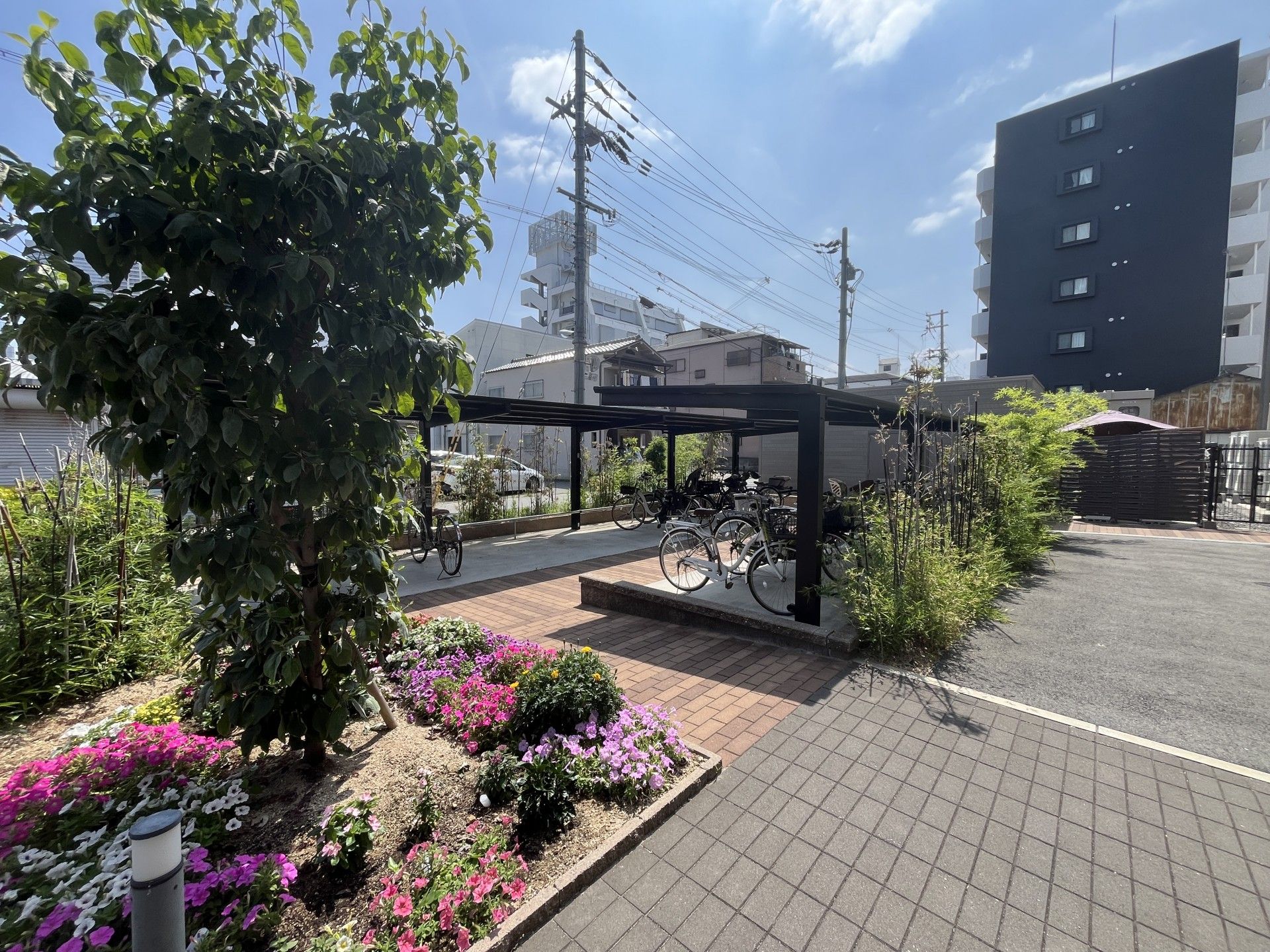 自転車置き場と花壇