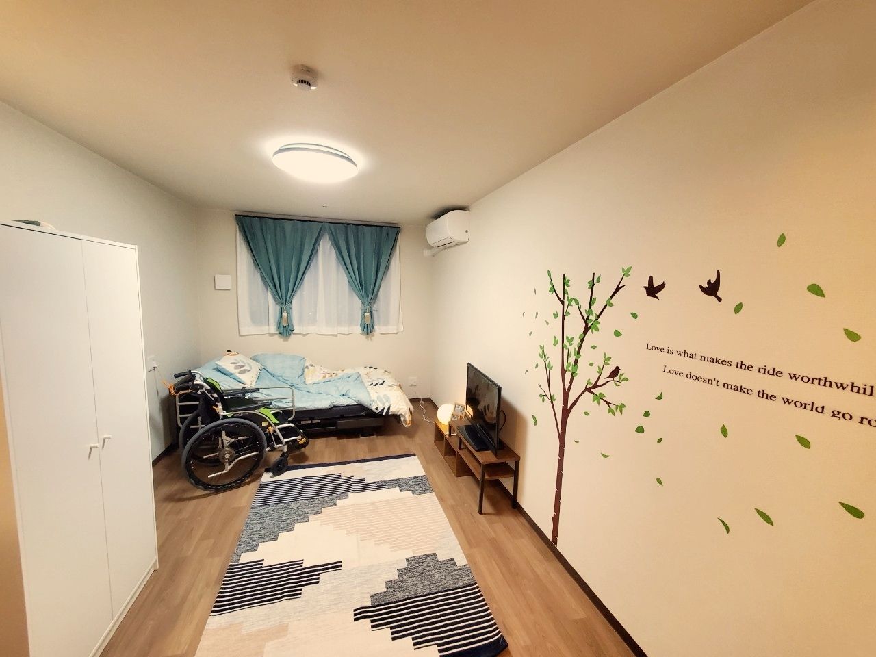 窓の下に介護用ベッドを設置し、中央にラグマットを敷いてテレビを置いた部屋