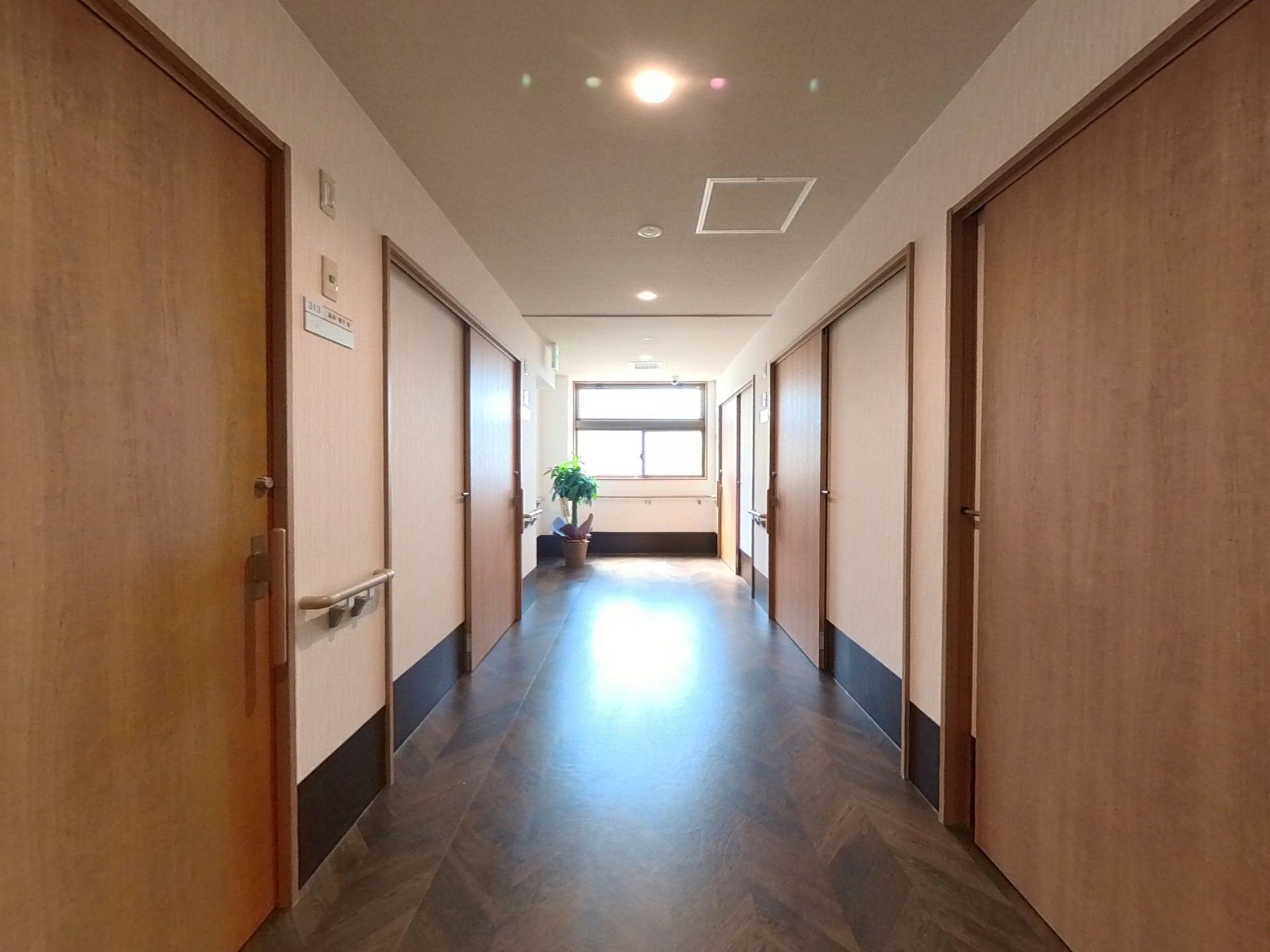明るい廊下