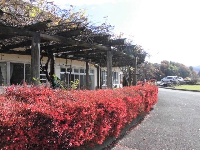 花が咲いている花壇がある施設内の外部分。有料老人ホーム 渓和の外観写真