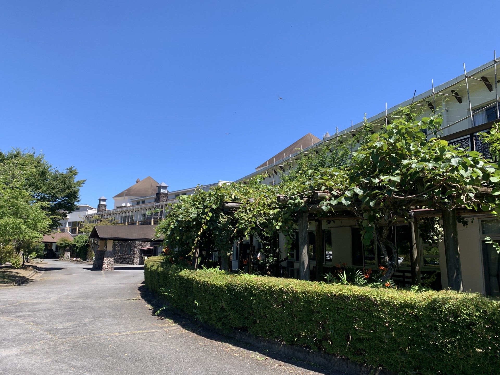 緑豊かな建物の外観