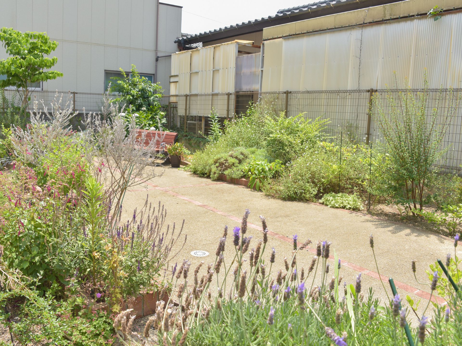 施設の庭にはたくさんの種類の植物が植えられている。色とりどりの植物をながめながら季節感を感じ、自然を楽しめる。