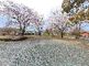 広々とした駐車場と自然の風景