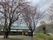 桜の木と建物の外観