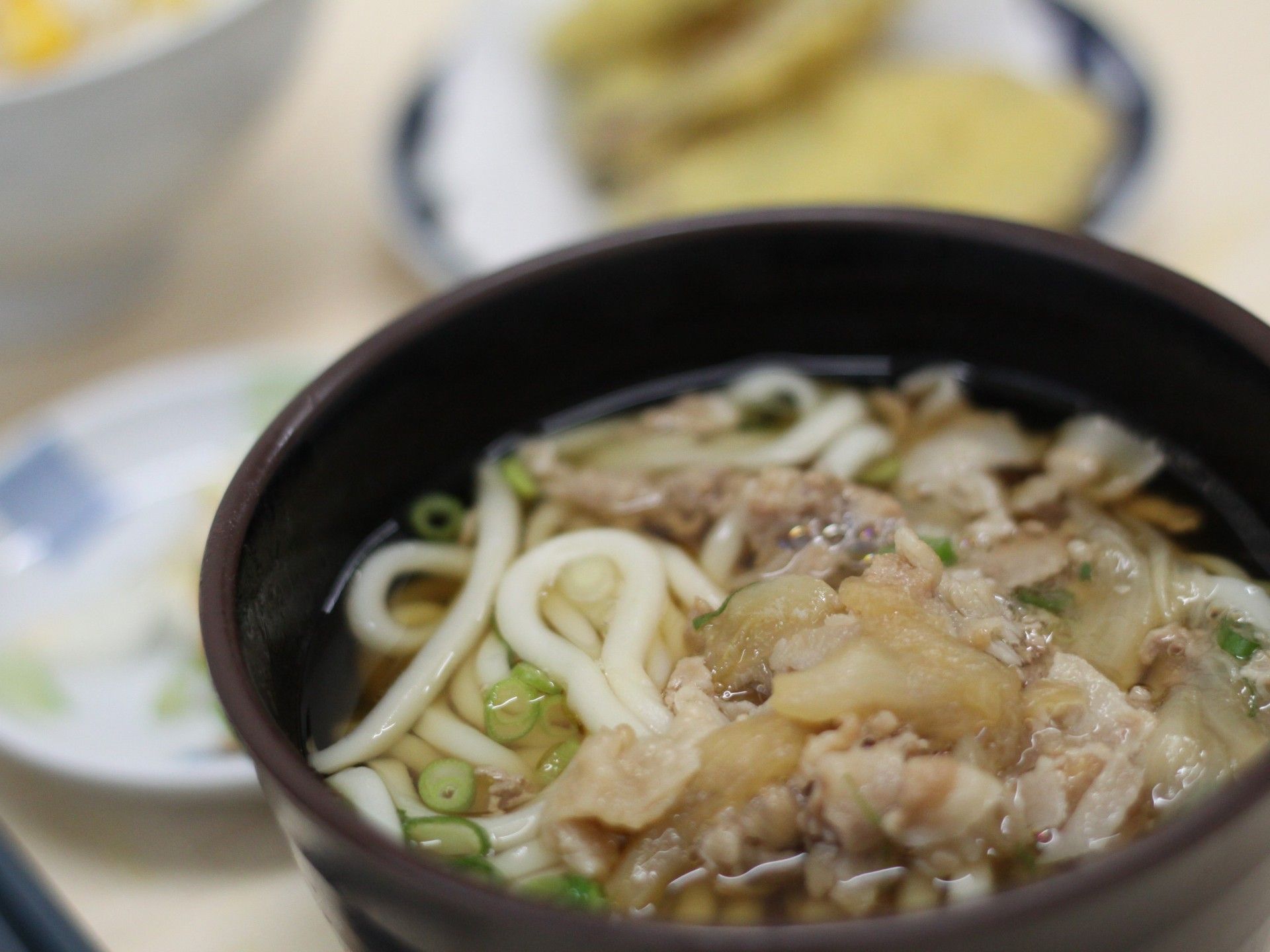 ねぎがのったうどん
