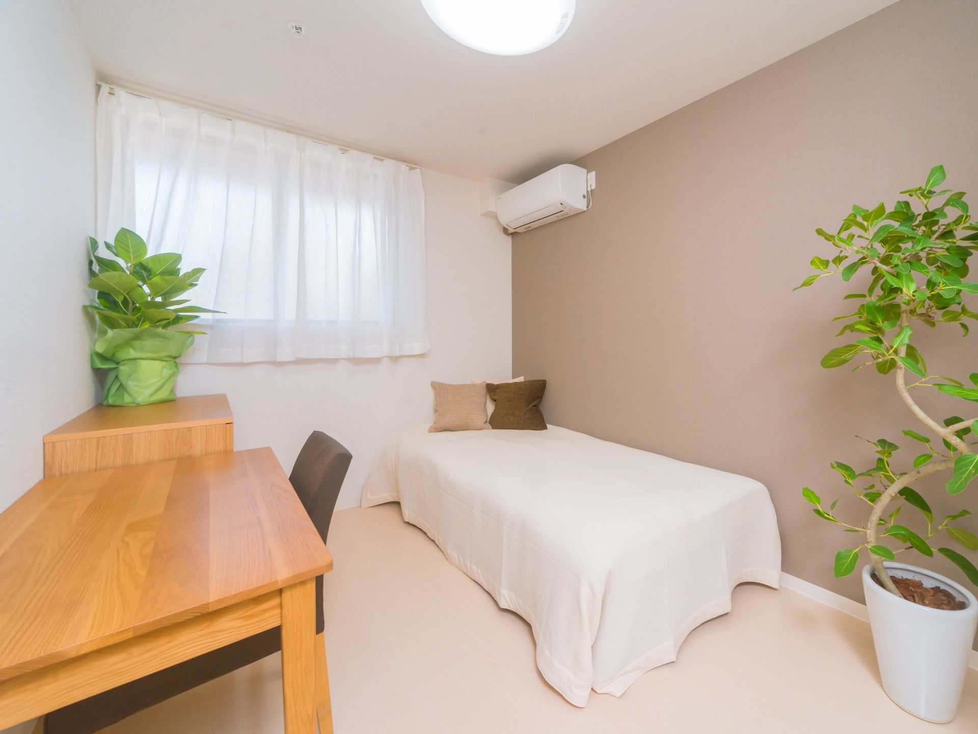 寝具がセットされたベッドやデスクセットなどがある部屋には観葉植物が飾られている。