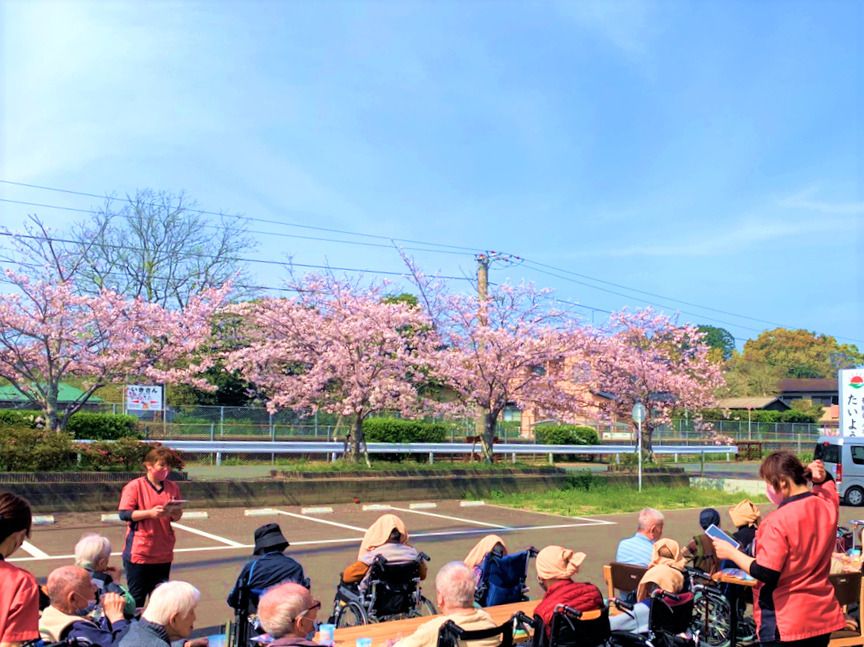 桜の木の前でお花見をする高齢者と付き添いのスタッフ