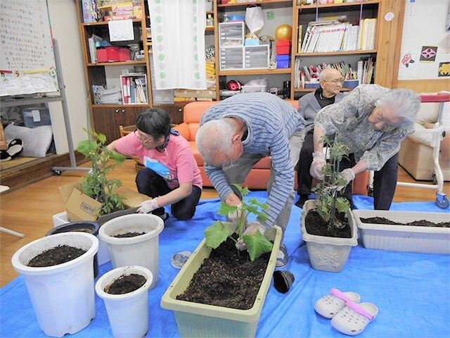 数多くのプランターがブルーシートの上に置かれ、男女の入居者と女性スタッフが野菜の苗を植えている様子。