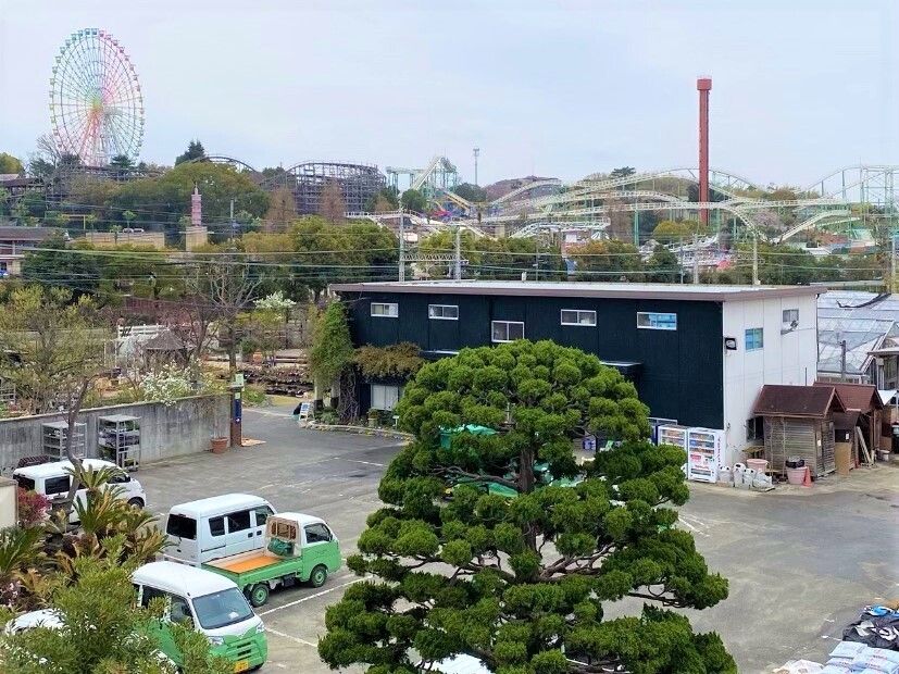 車椅子に座っている高齢女性と手を差し伸べる女性ヘルパー