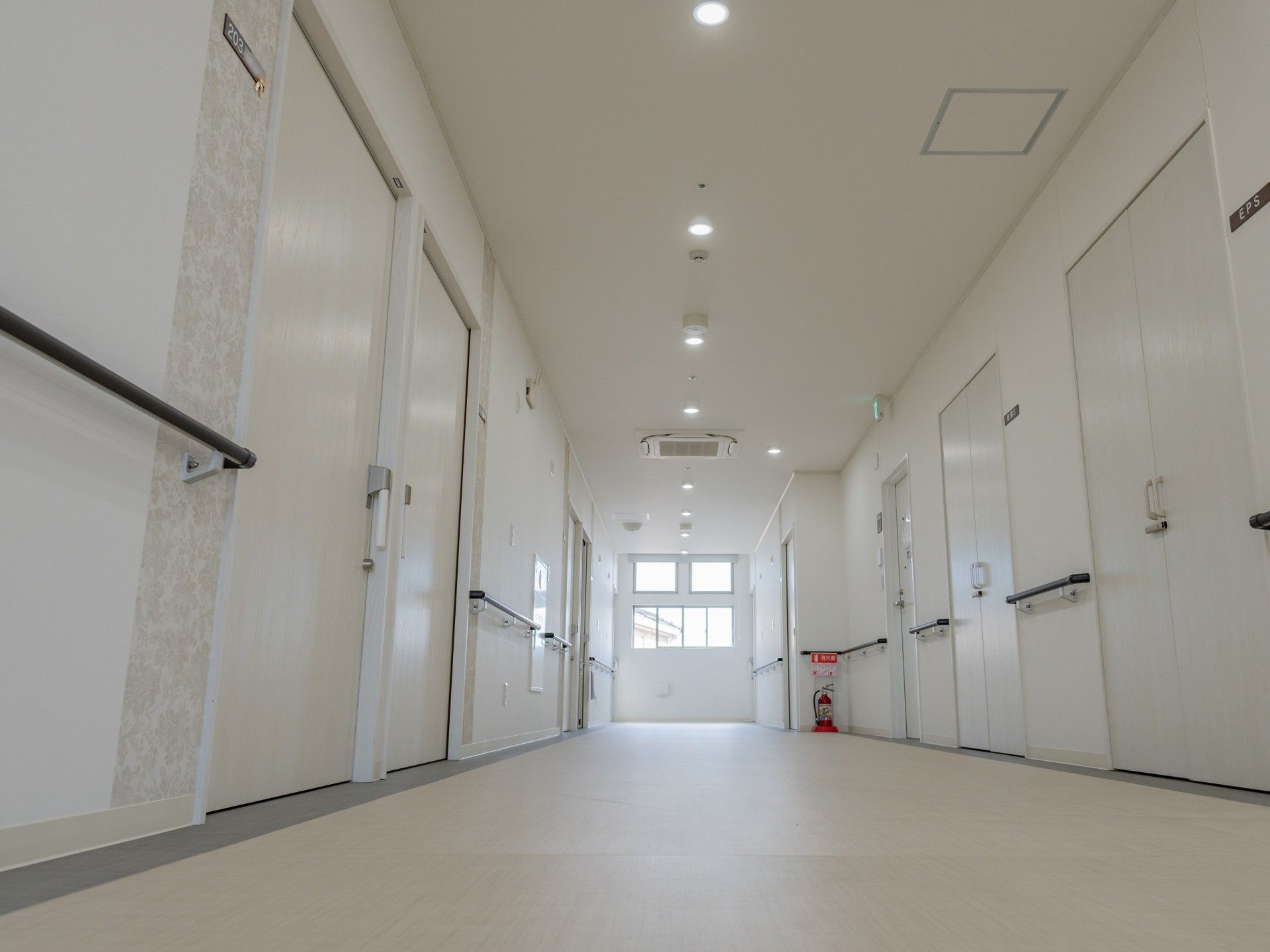 居室の入り口ドアに柄の入った壁紙を使用している廊下
