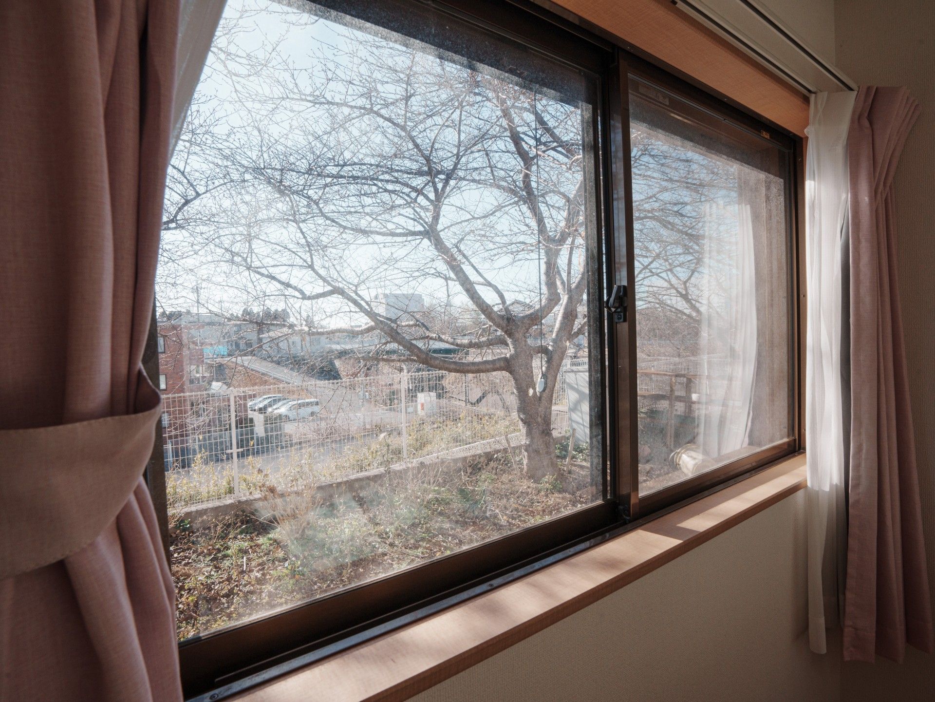 窓から見える自然景色の居室