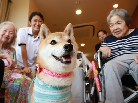 日常風景