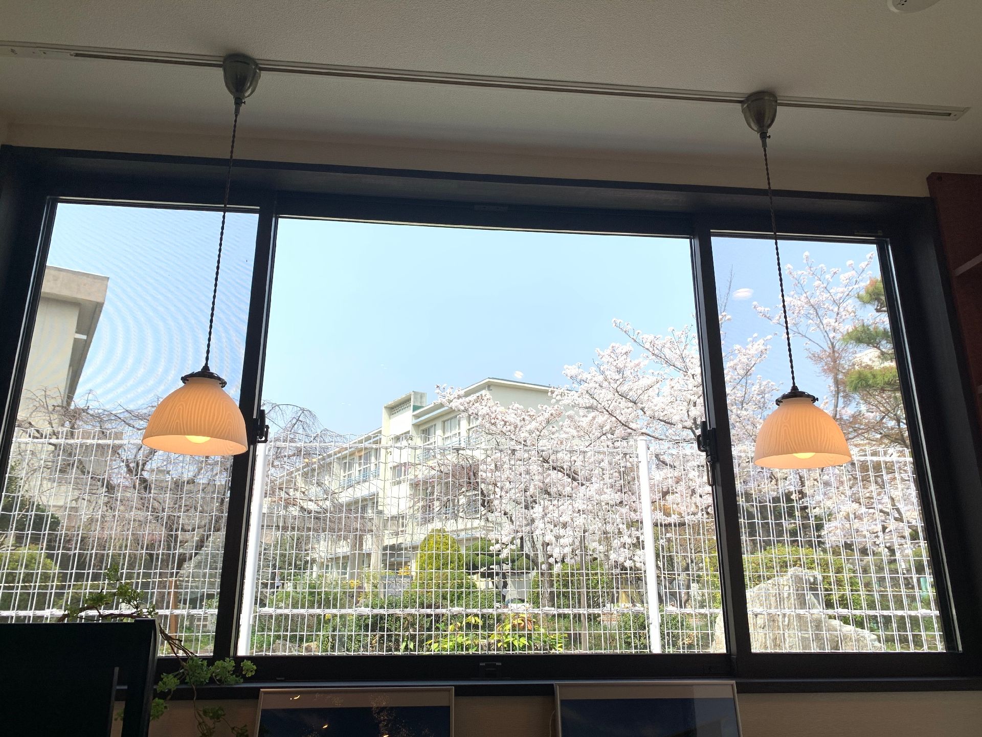 大きな窓の外に桜が咲いている様子や周辺の住宅を見ることができる。屋内には2つのペンダントライトが付けられている