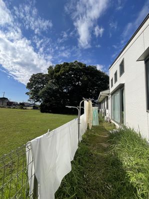 【お庭(南側)】