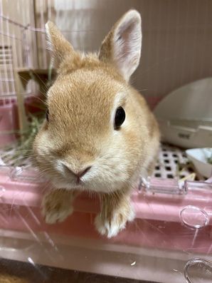 スタッフイメージ