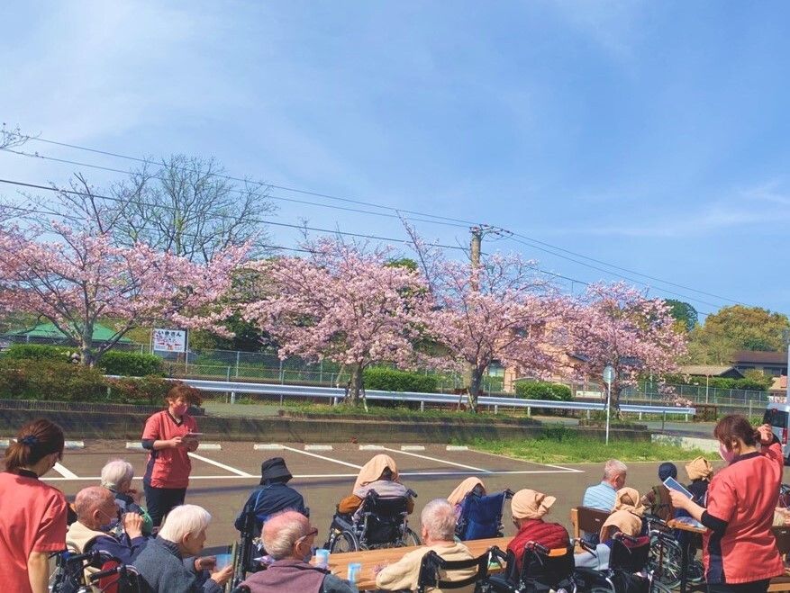 広い駐車場に木製のテーブルを出し、入居者がテーブルを囲んで花見を楽しんでいる。駐車場の周りにはピンクの花が咲いた木がたくさん植えられている。