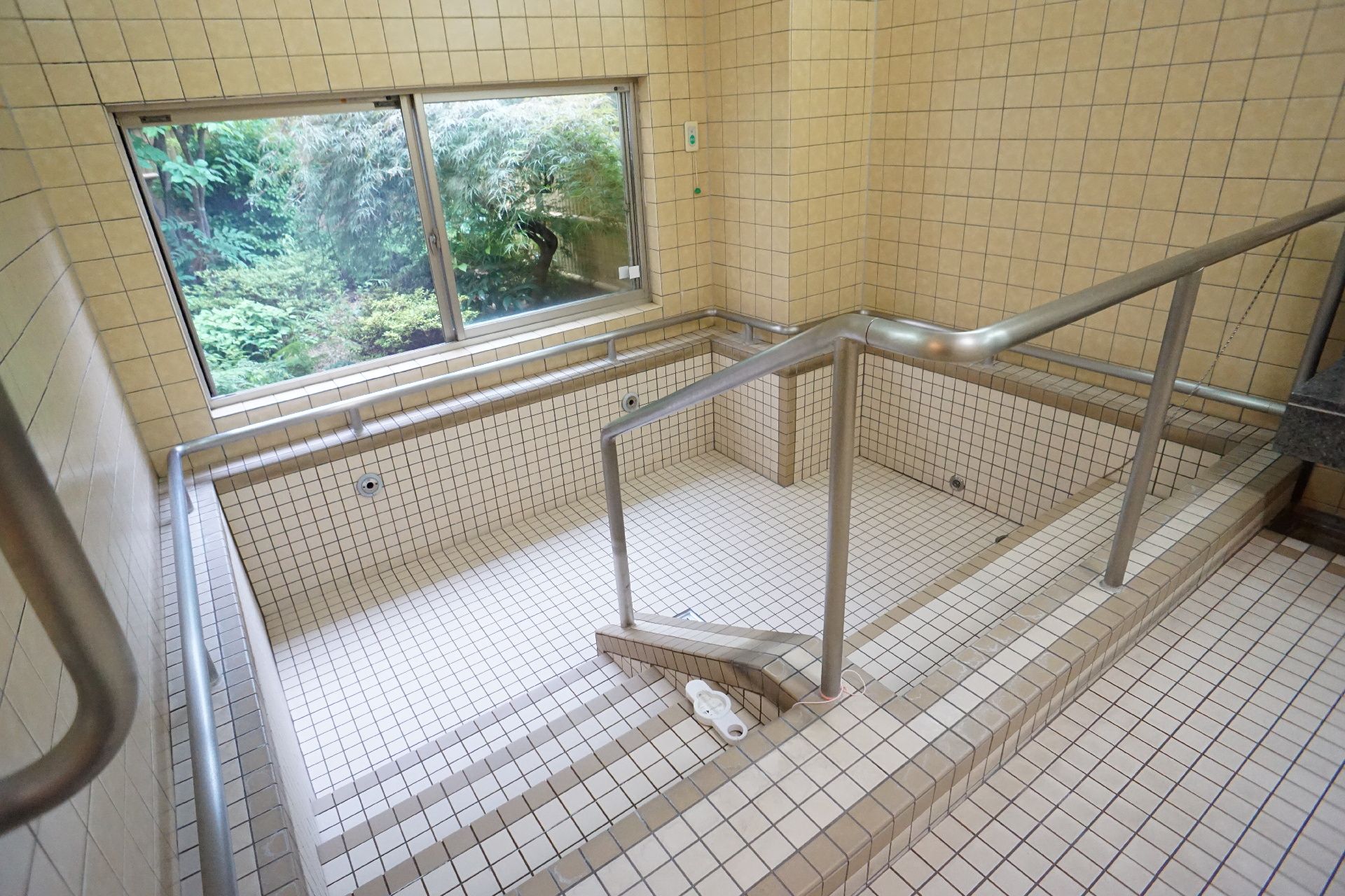 タイル調の部屋にある大きな浴槽とそれを取り囲む銀色の手すり