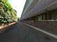 緑豊かな外観の施設エントランス