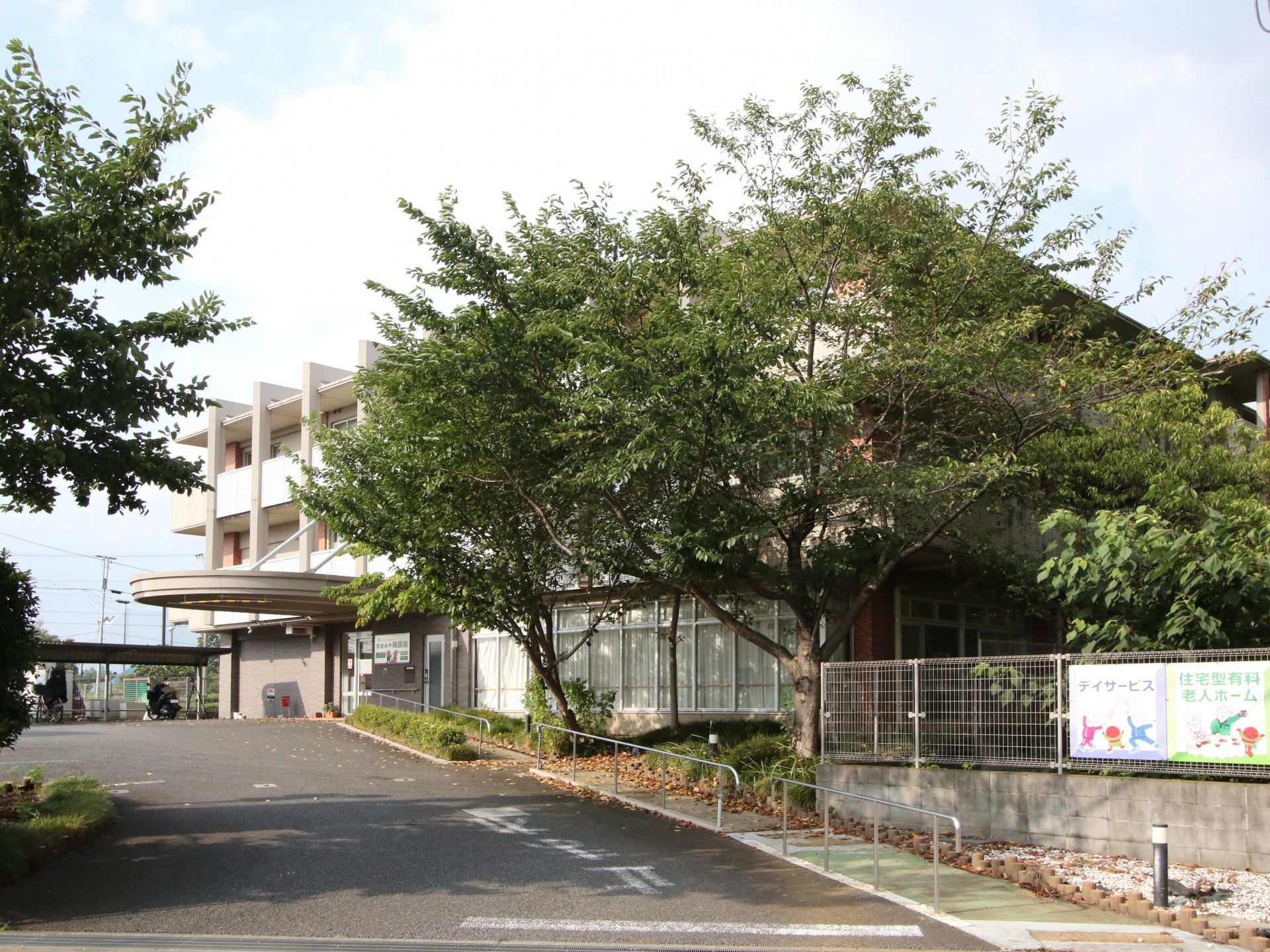 大きな木がある敷地内