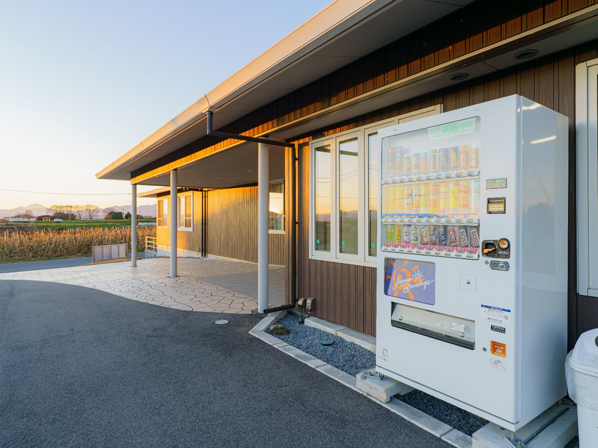 陽ざしの良い場所で何かを見つめている高齢女性と介護スタッフ。やわらかい表情のふたり