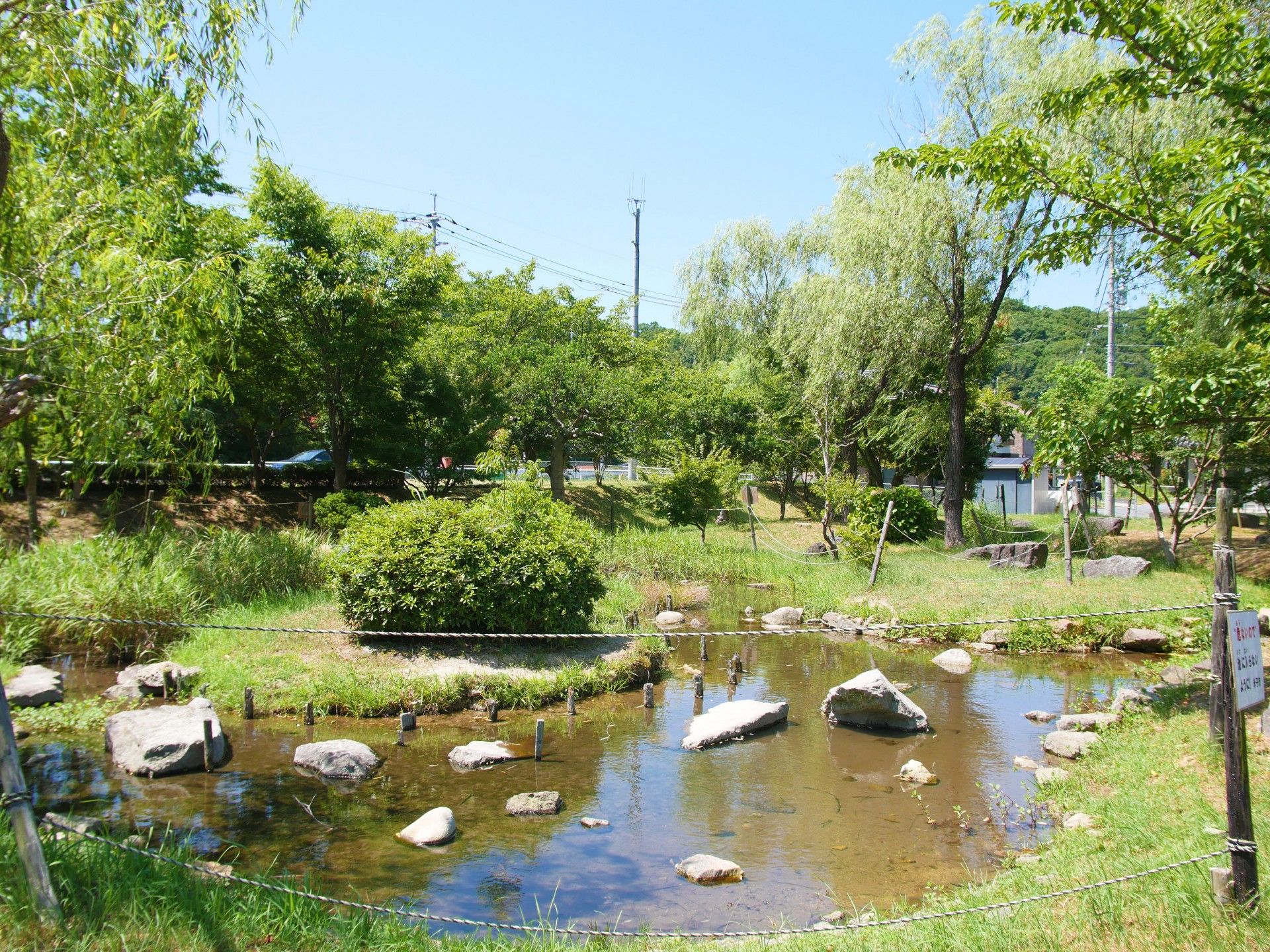 緑豊かな庭園風景