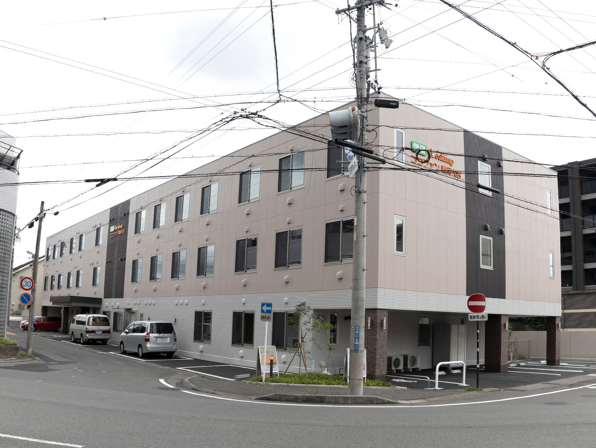 中心部分に濃いブラウンの線が入った特徴てきな色合いの外観