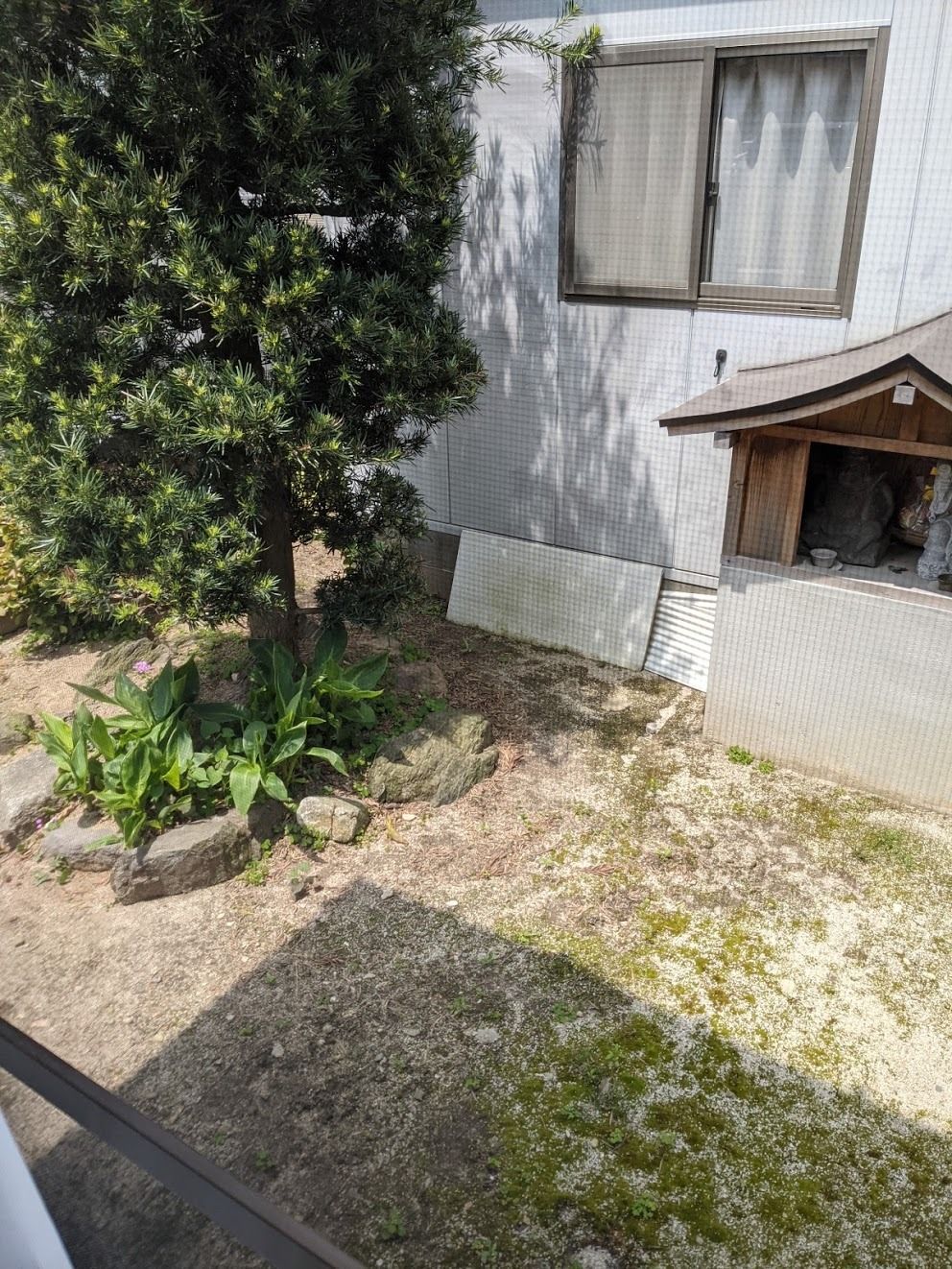敷地内にある庭の一角には祠があり、そのそばには大きな緑の木がある。日当たりがよく、草はあまり生えていない。
