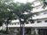 緑に囲まれた建物正面