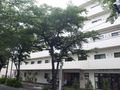 リーシェガーデン大泉学園の写真