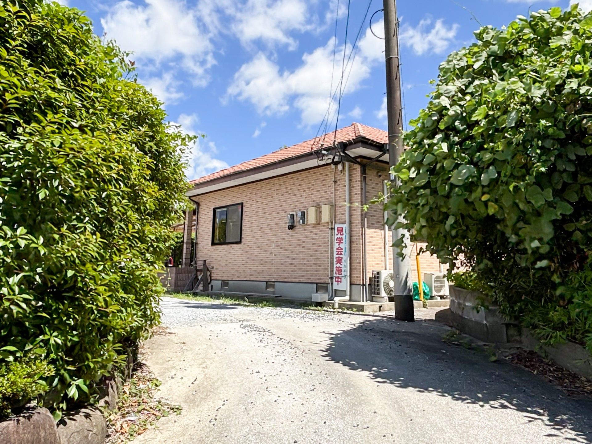 日差しの中の平屋建て