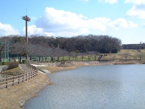 ラ・プラスヒルトップの周辺環境。ご面会時にお立ち寄りいただける自然豊かな公園がございます。