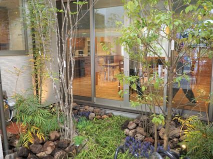 細い木々が植えられた庭スペースを共有スペースから見ることができる。木の根元にはシダ系の植物も植えられ、和風の雰囲気。