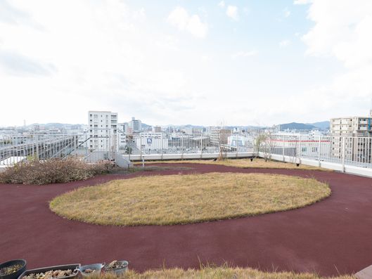 屋上