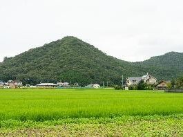 車いすに座っている高齢女性のそばにはピンクのエプロンを付けた若い女性スタッフが腰を下ろし、女性に微笑みかけながら手を握っている。