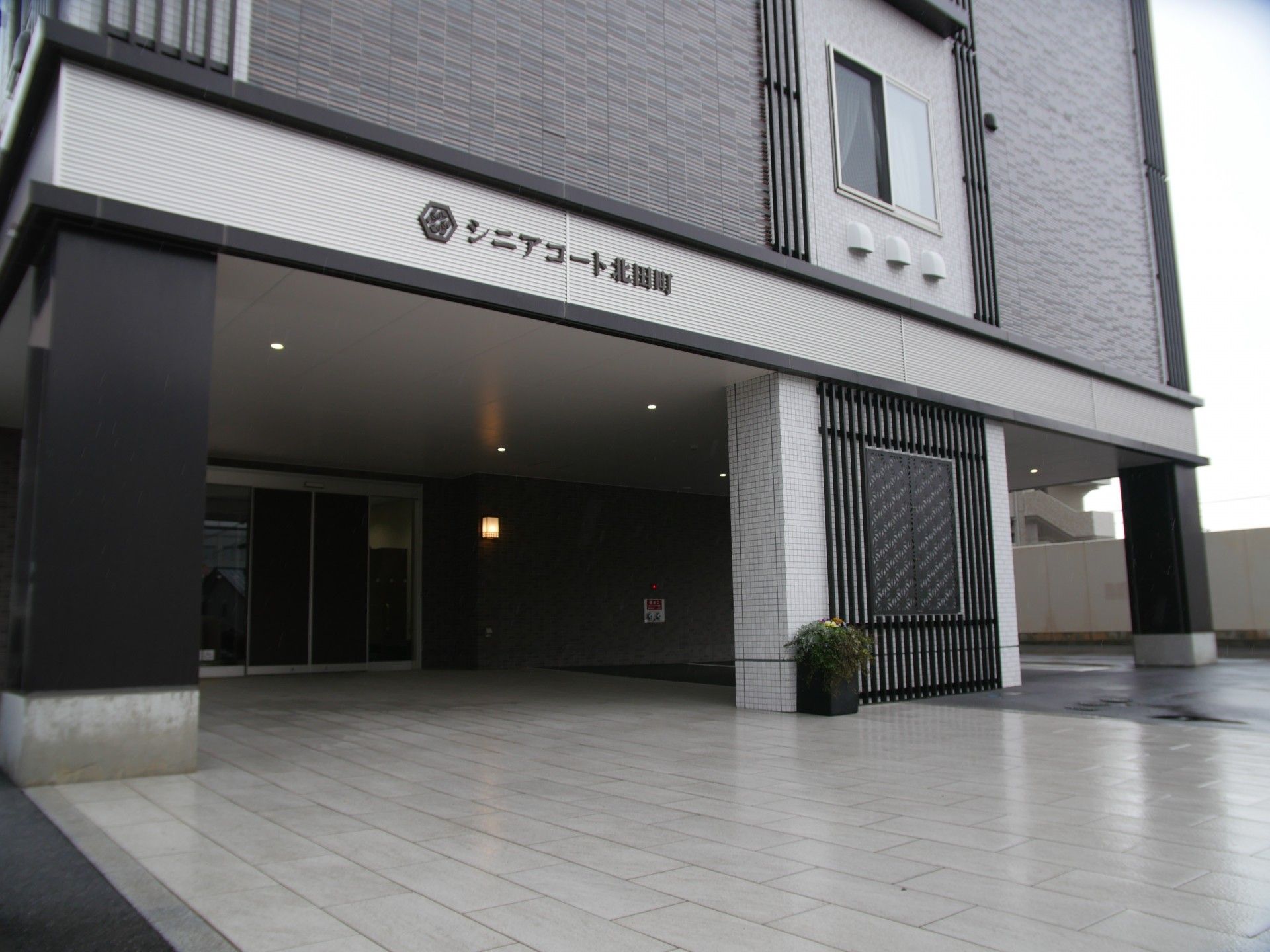 仲良く食事をしている高齢の男性と女性