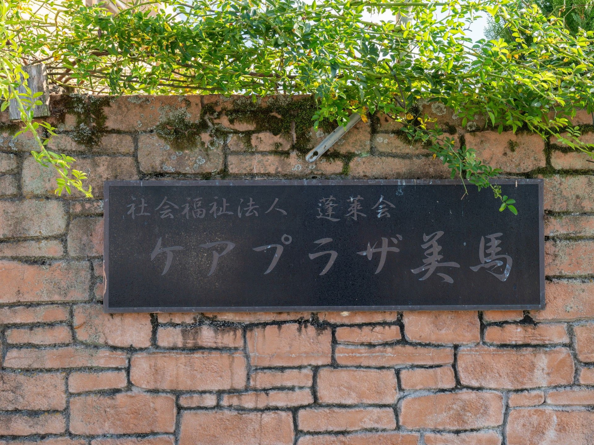 緑に囲まれた看板