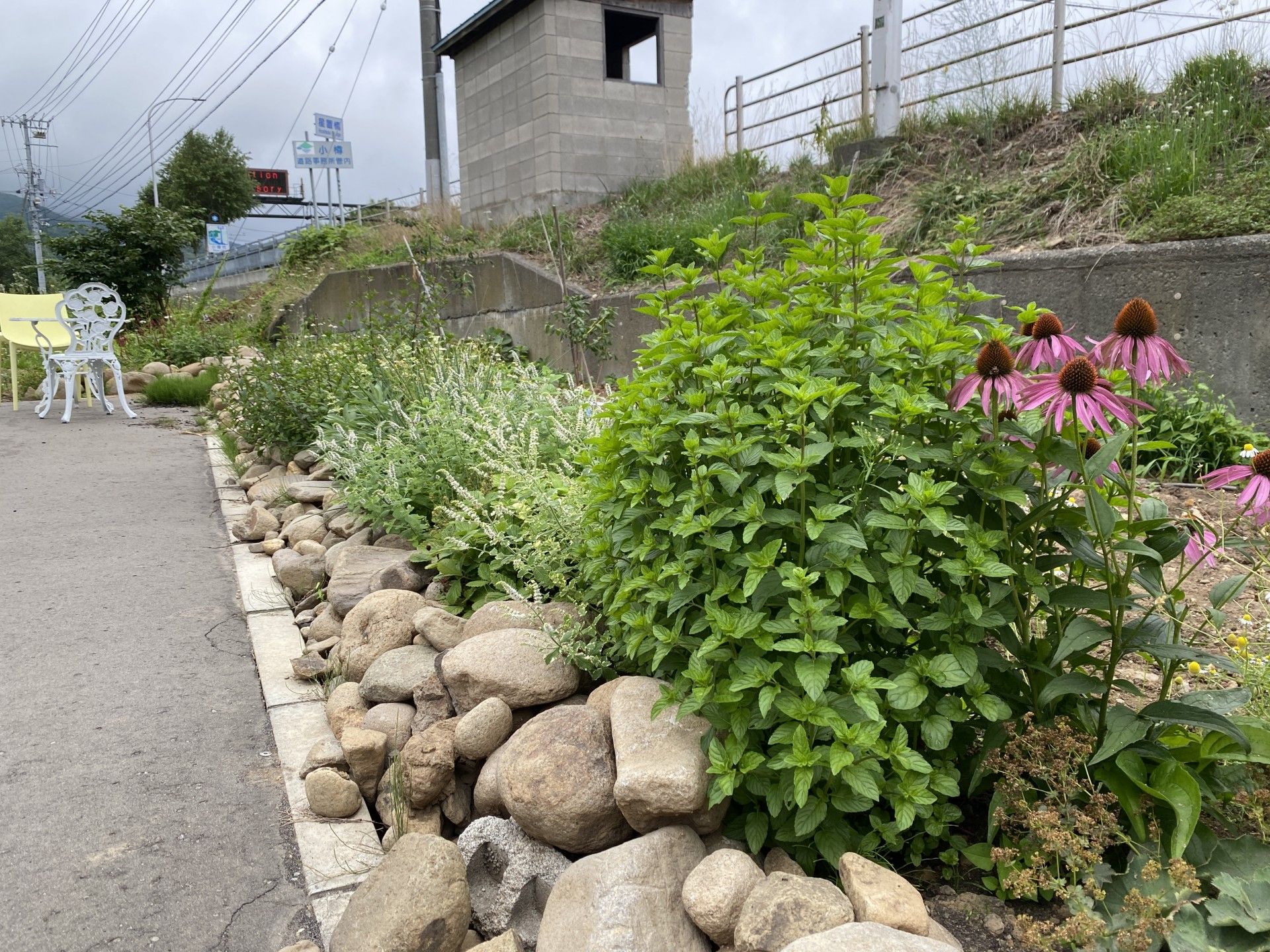 植物に囲まれた外観